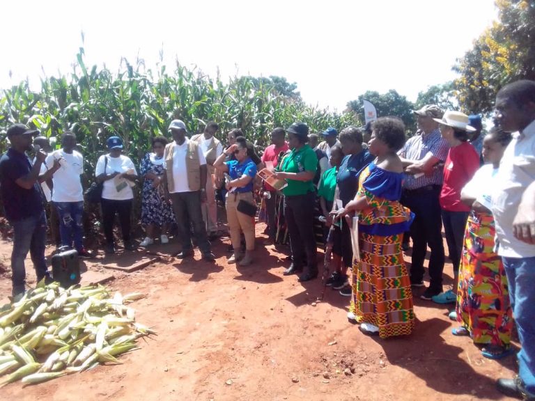CAT tips smallholder farmers on crop diversification, increased income CAT tips smallholder farmers on crop diversification, increased income