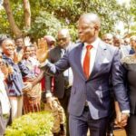 Bushiris cover