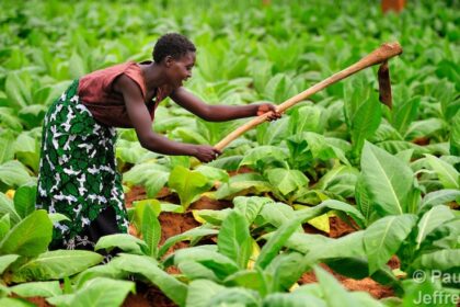 CISONECC COVER PIC gender-sensitive climate disaster insurance