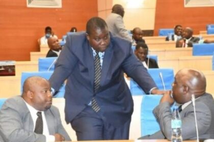 DPP MPs