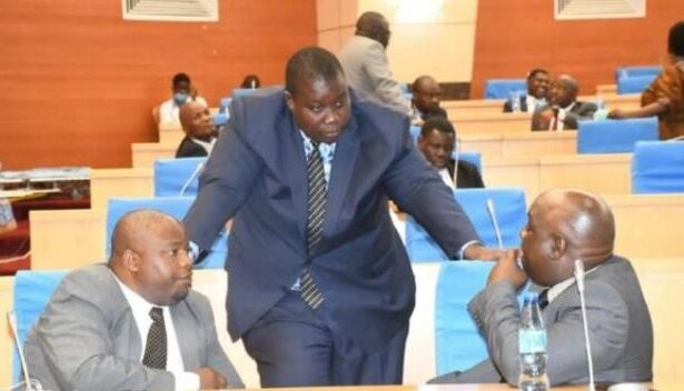 DPP MPs
