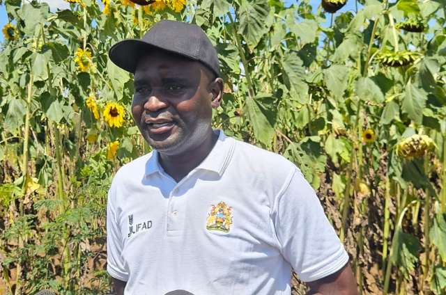 IFAD funded project promotes market driven research 1 FIELD DY 3 SAPP coordinator