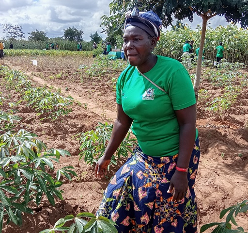 IFAD advocates appropriate farmer technologies & financing to boost agric. sector 2 Field day cassava farmer
