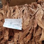 Some of the tobacco bought at a high price Cancer centre